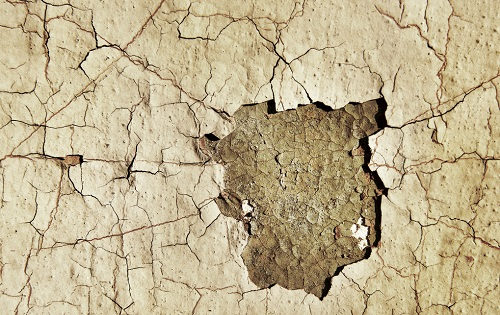 應(yīng)對(duì)旱災(zāi)威脅，這樣監(jiān)測(cè)土壤（認(rèn)準(zhǔn)土壤墑情速測(cè)儀的4大突出性能）