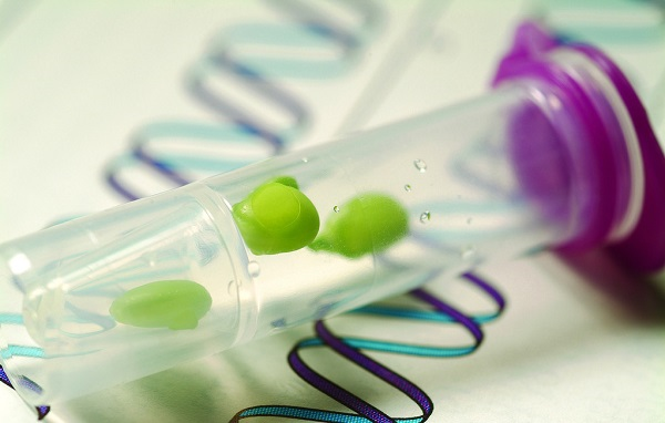 種子發(fā)芽所需要的條件，種子發(fā)芽箱都可以提供嗎？