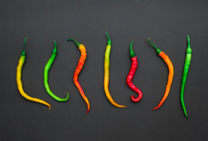 如何評價一種辣椒有多辣?？辣椒素檢測儀的工作原理及介紹