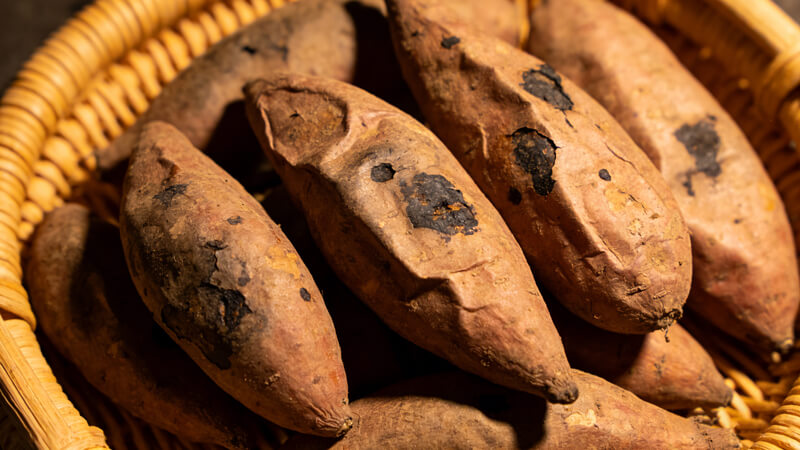 農(nóng)藥殘留檢測(cè)儀準(zhǔn)確鎖定“毒紅薯”元兇，克百威、甲拌磷檢測(cè)能力再升級(jí)